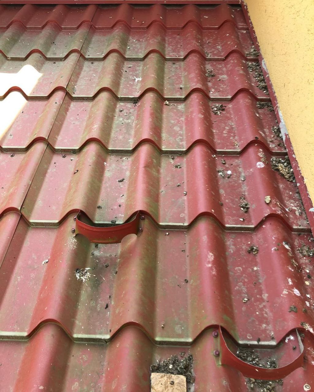 Дах до чистки AstaClean