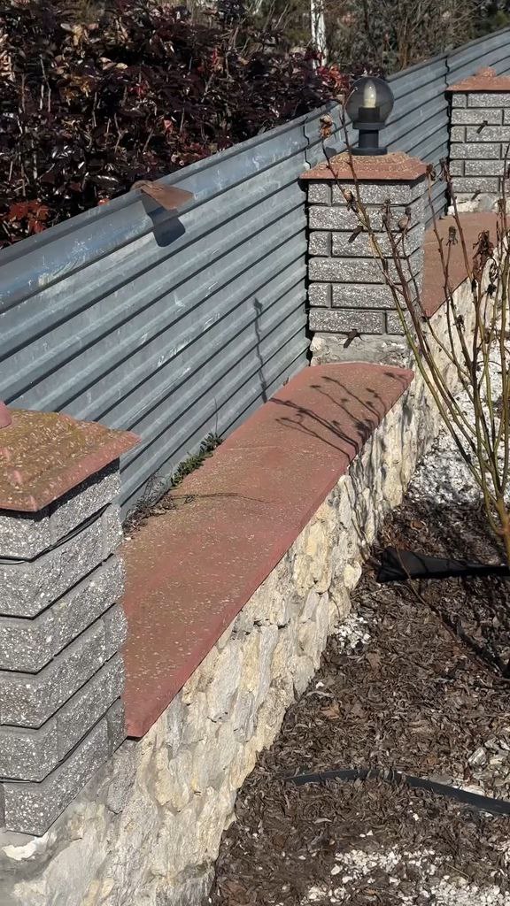 Чистка паркану до AstaClean